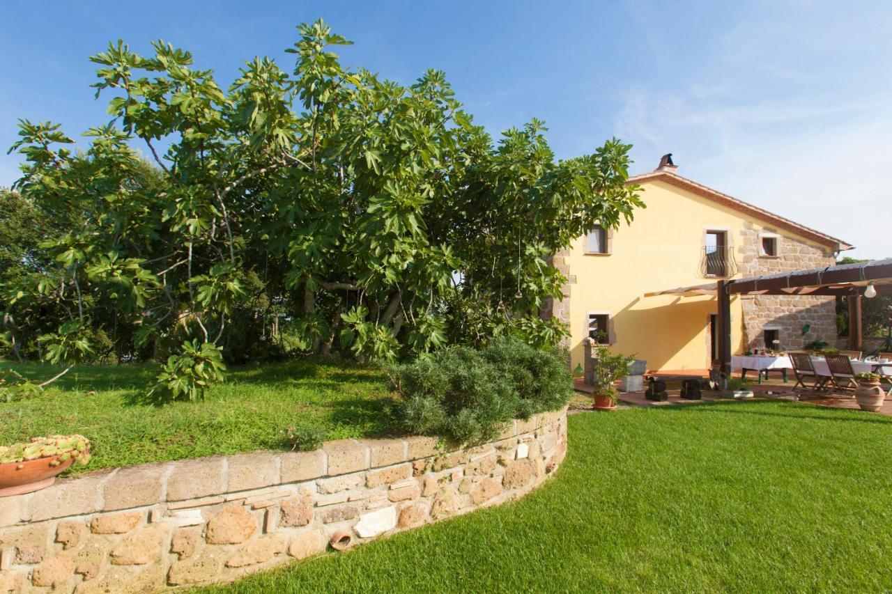 Ficolivo Bed & Breakfast Pitigliano Exterior photo